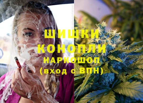 ALPHA PVP Богородицк