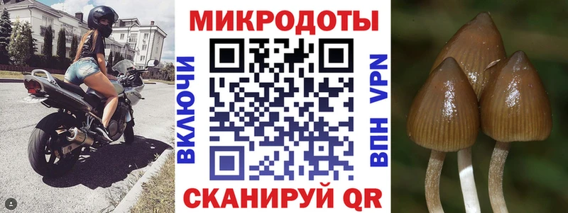 Купить где  Жирновск  Псилоцибиновые грибы Magic Shrooms 