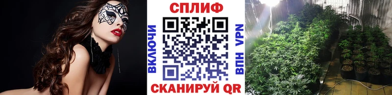 Купить закладки Жирновск Бошки Шишки SATIVA & INDICA